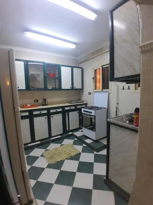 Scarabee, Zamalek Apartment