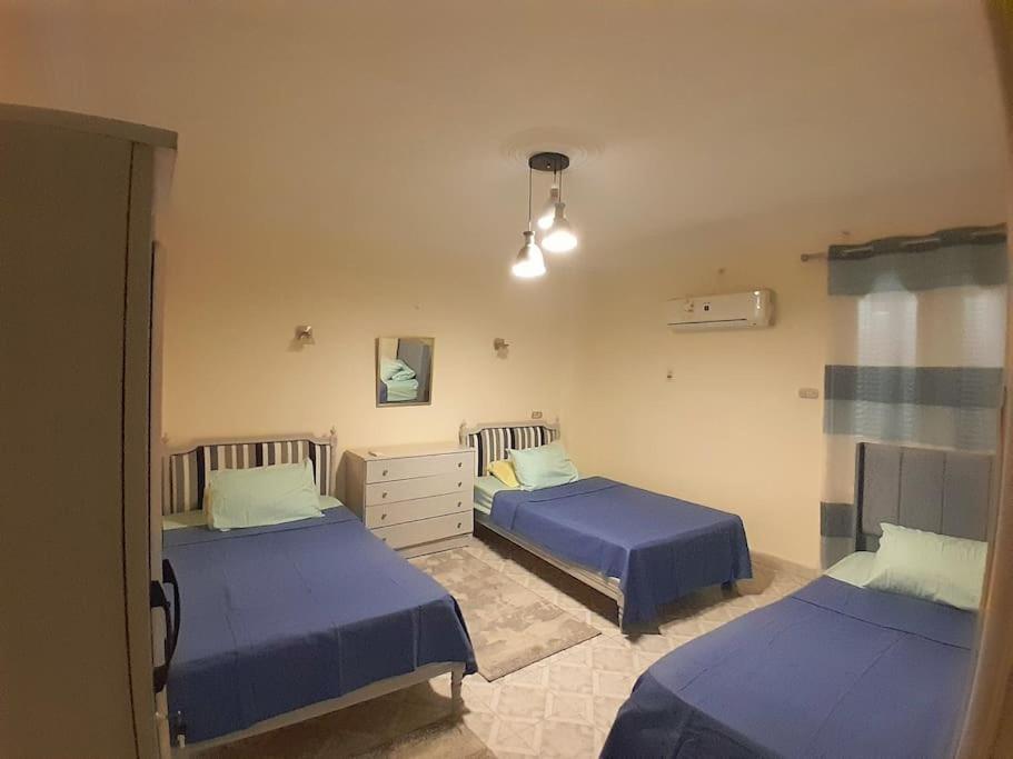 Scarabee, Zamalek Apartment *