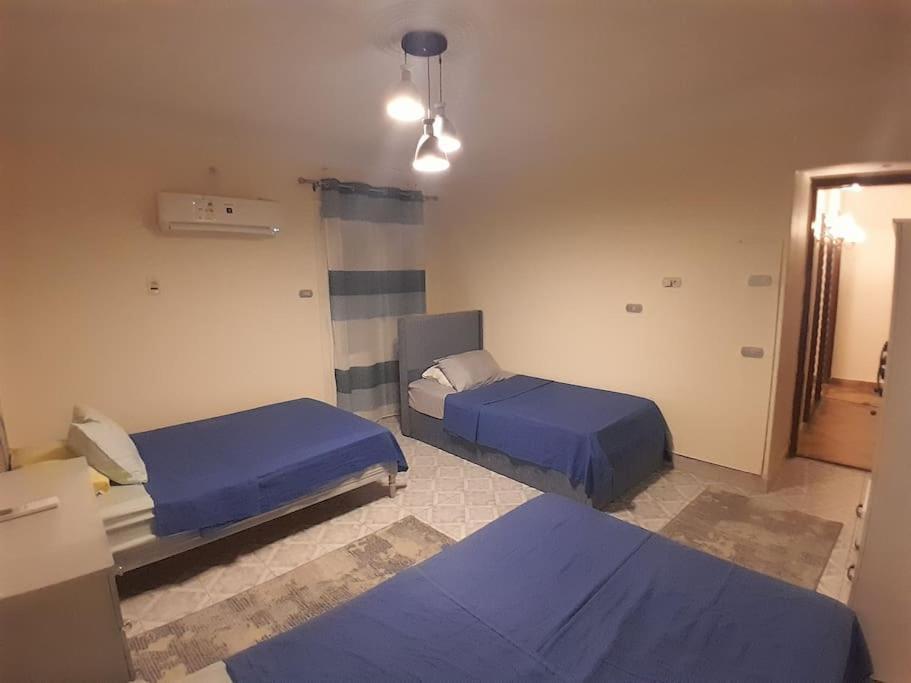 Apartment Scarabee, Zamalek