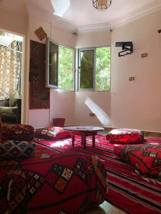 Scarabee, Zamalek Cairo