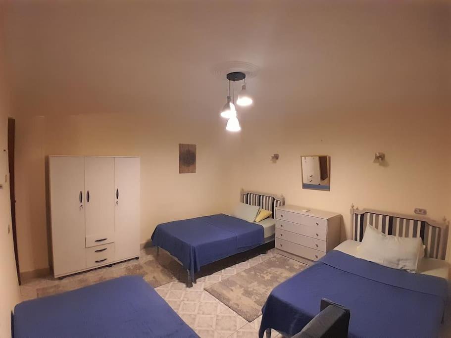 Apartment Scarabee, Zamalek