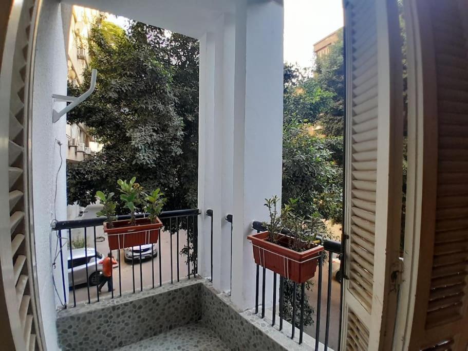 Scarabee, Zamalek Cairo